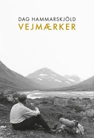 Vejmærker